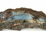 Blue Boulder Opal Specimen - Queensland, Australia #227092-2